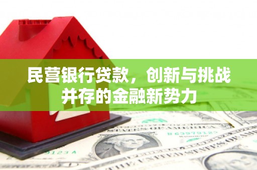 越西民营银行贷款，创新与挑战并存的金融新势力
