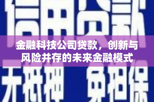 勐海金融科技公司贷款，创新与风险并存的未来金融模式