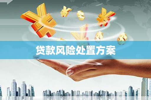 兴县贷款风险处置方案