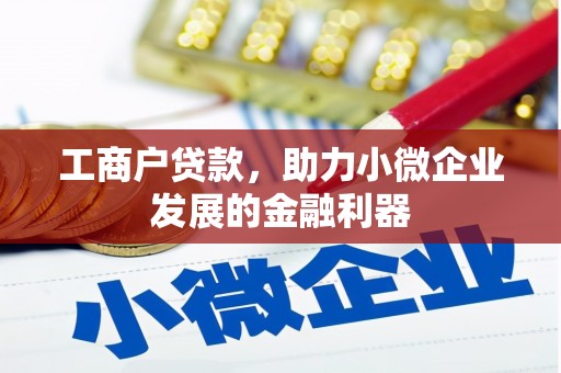宝山工商户贷款，助力小微企业发展的金融利器