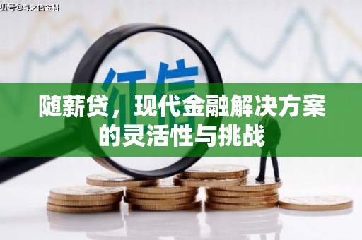 禹会随薪贷，现代金融解决方案的灵活性与挑战