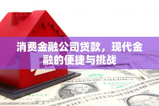 新华消费金融公司贷款，现代金融的便捷与挑战