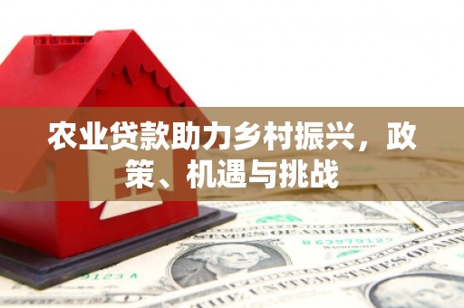 湖西农业贷款助力乡村振兴，政策、机遇与挑战
