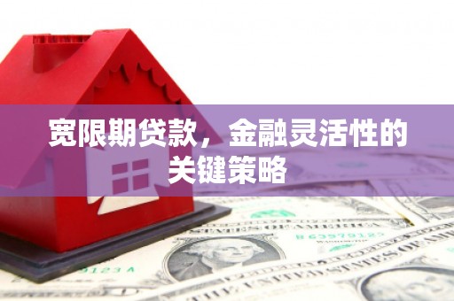 阿勒泰宽限期贷款，金融灵活性的关键策略