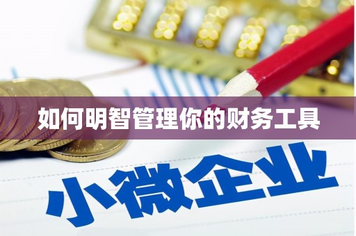 康乐如何明智管理你的财务工具