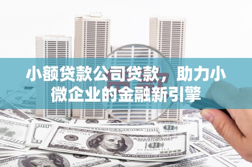 天津小额贷款公司贷款，助力小微企业的金融新引擎