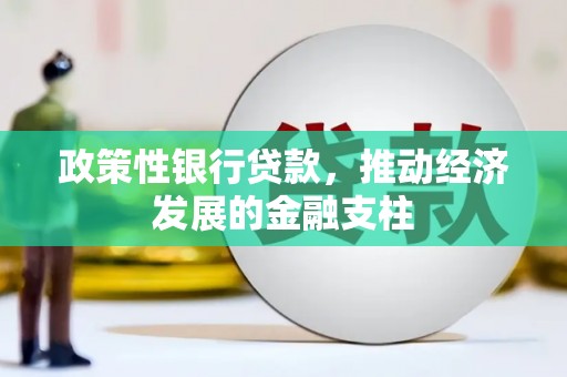 刚察政策性银行贷款，推动经济发展的金融支柱