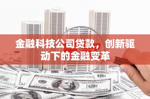 玉树金融科技公司贷款，创新驱动下的金融变革