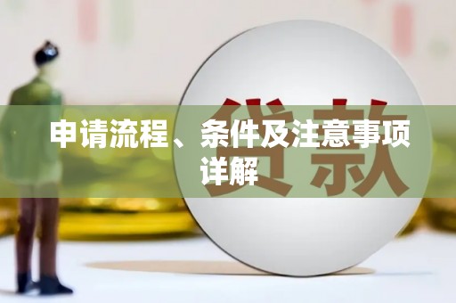 蔡甸申请流程、条件及注意事项详解