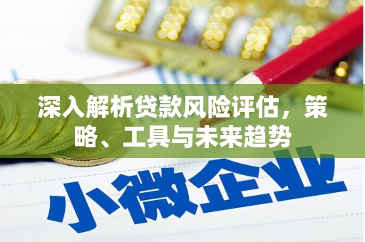 湖西深入解析贷款风险评估，策略、工具与未来趋势