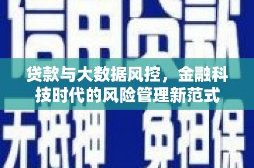 鱼峰贷款与大数据风控，金融科技时代的风险管理新范式
