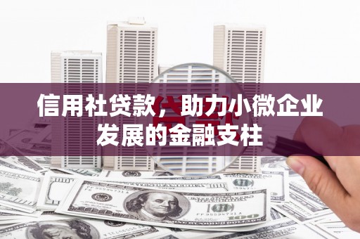 镇安信用社贷款，助力小微企业发展的金融支柱