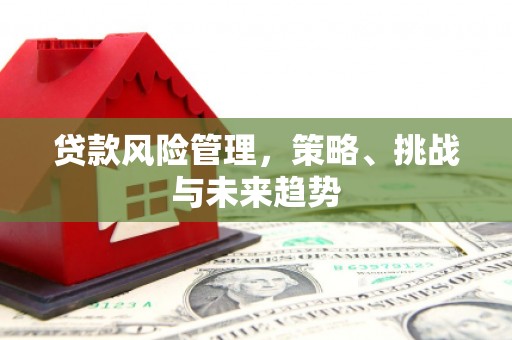 嘉兴贷款风险管理，策略、挑战与未来趋势