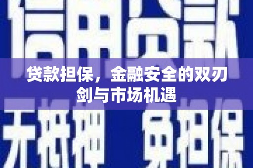 嘉黎贷款担保，金融安全的双刃剑与市场机遇