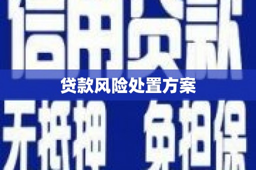 南投贷款风险处置方案