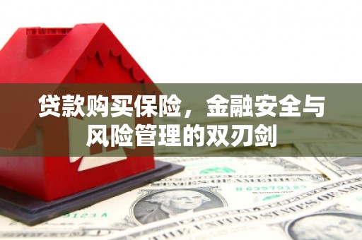 吴忠贷款购买保险，金融安全与风险管理的双刃剑