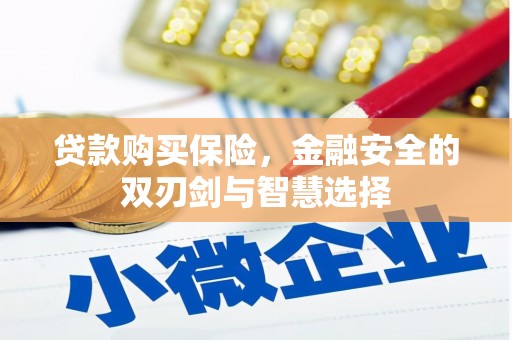 镇原贷款购买保险，金融安全的双刃剑与智慧选择