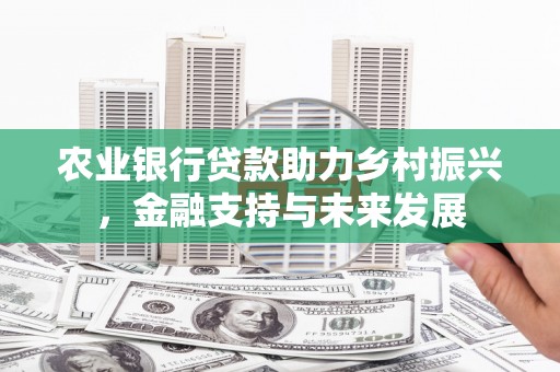 南投农业银行贷款助力乡村振兴，金融支持与未来发展