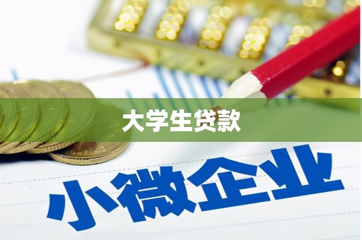 新园大学生贷款
