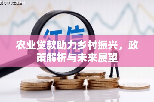 永靖农业贷款助力乡村振兴，政策解析与未来展望