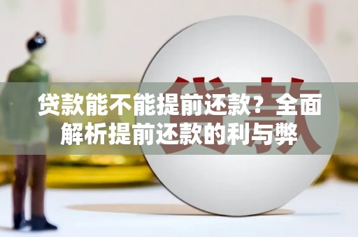 山阳贷款能不能提前还款？全面解析提前还款的利与弊