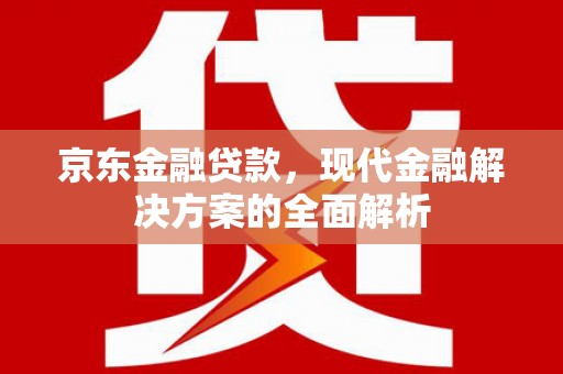 赤城京东金融贷款，现代金融解决方案的全面解析