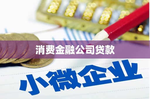 宣化消费金融公司贷款