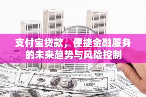 三穗支付宝贷款，便捷金融服务的未来趋势与风险控制
