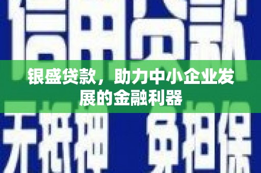 资溪银盛贷款，助力中小企业发展的金融利器