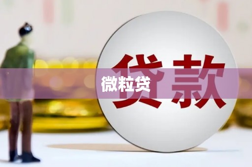 立山微粒贷