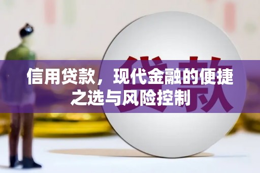河西信用贷款，现代金融的便捷之选与风险控制
