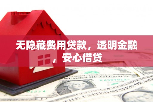 任丘无隐藏费用贷款，透明金融，安心借贷