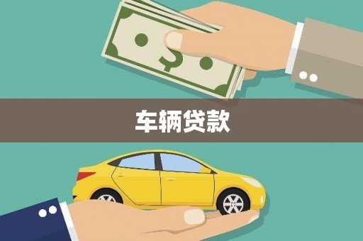 弋江车辆贷款