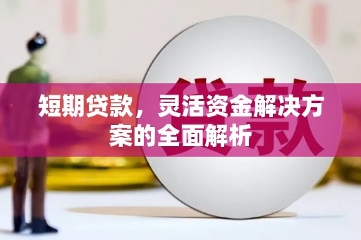 兰西短期贷款，灵活资金解决方案的全面解析