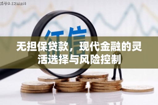 巴楚无担保贷款，现代金融的灵活选择与风险控制