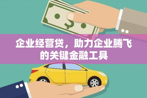 巴里坤企业经营贷，助力企业腾飞的关键金融工具