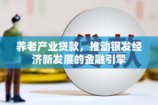 囊谦养老产业贷款，推动银发经济新发展的金融引擎