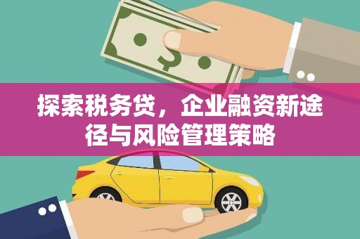 顺庆探索税务贷，企业融资新途径与风险管理策略