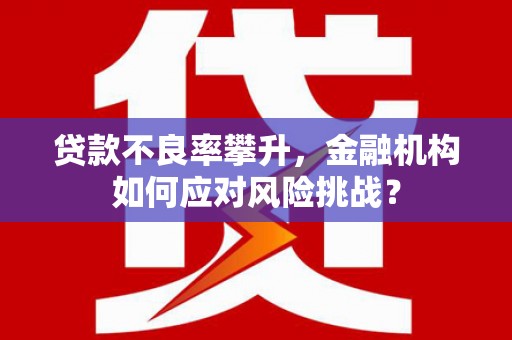 韶关贷款不良率攀升，金融机构如何应对风险挑战？