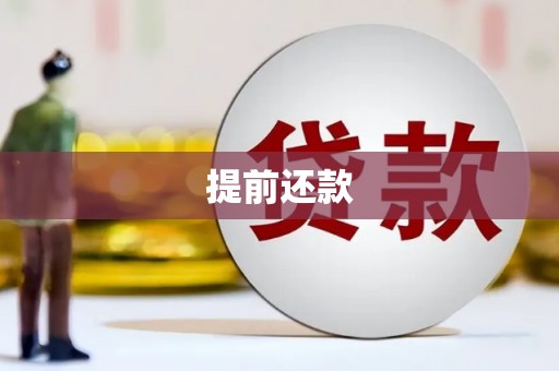 麻豆提前还款