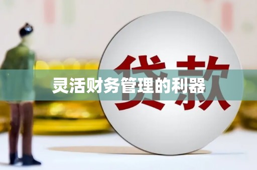 略阳灵活财务管理的利器