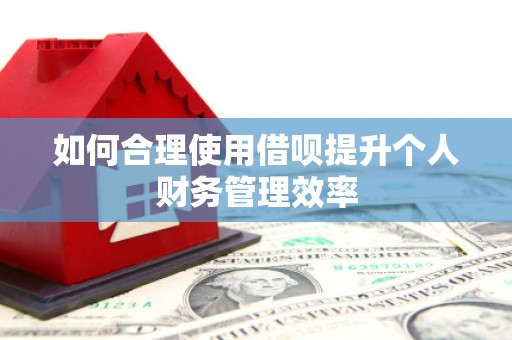 兴县如何合理使用借呗提升个人财务管理效率
