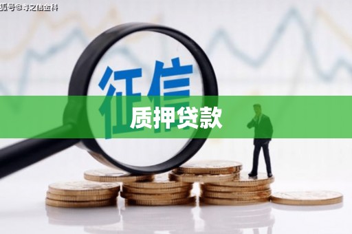 桐乡质押贷款