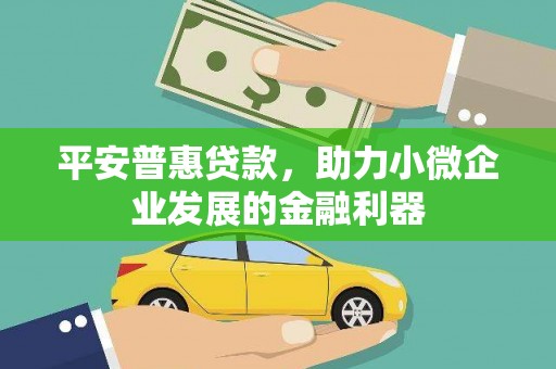 瀍河平安普惠贷款，助力小微企业发展的金融利器