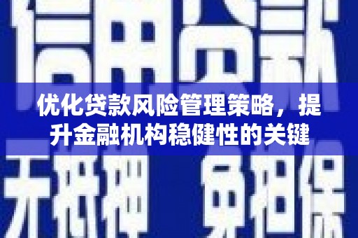 东西湖优化贷款风险管理策略，提升金融机构稳健性的关键