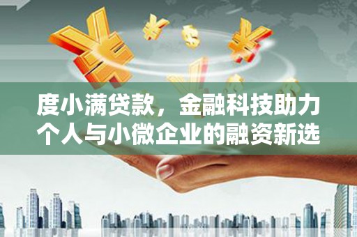 灌南度小满贷款，金融科技助力个人与小微企业的融资新选择