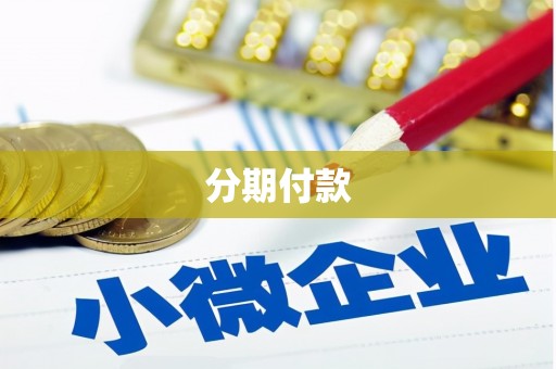 保亭分期付款