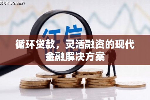 汕尾循环贷款，灵活融资的现代金融解决方案