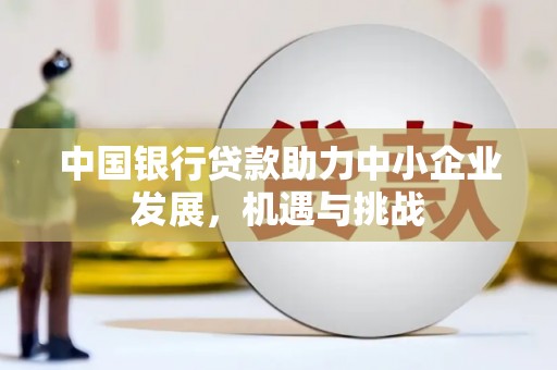 巴塘中国银行贷款助力中小企业发展，机遇与挑战