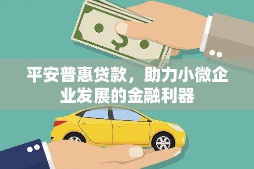 宁夏平安普惠贷款，助力小微企业发展的金融利器